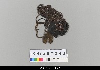 藏品(中國湖北皮影戲偶頭-旦)的圖片